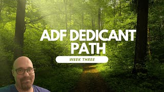 ADF Dedicant Path week 3 [upl. by Ephrem]