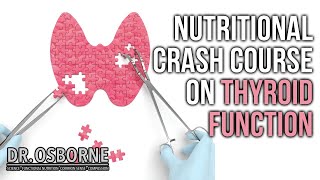 Nutritional Crash Course on Thyroid Function [upl. by Asle968]