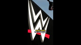 WWE Opens Forbidden Door Iyo Sky vs Utami Hayashishita at Marigold Summer Destiny WWE shorts [upl. by Cirred]