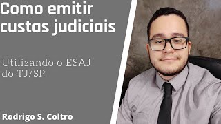 Custas e depósito recursal TRABALHISTA  Como funciona Valores Quem recolhe Guias [upl. by Collar]