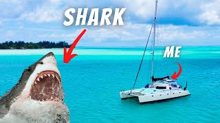 24 HOURS on a BOAT SHARKS 😱 amp SAILING BORA BORA 2024 [upl. by Malia318]