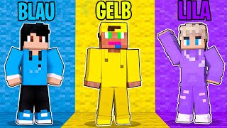 Minecraft aber wir haben NUR 1 FARBE [upl. by Shayna]