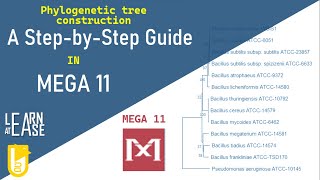 How to Construct a Phylogenetic Tree in MEGA 11 A StepbyStep Guide [upl. by Anaoj243]