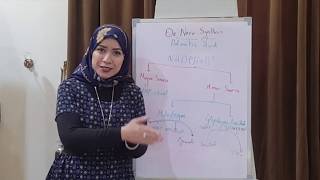 LIPID METABOLISM Biochemistry Session 3Lipogenesis part1 [upl. by Shewmaker]