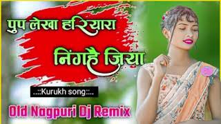 पुप लेखा छररियारा निंगहै जिया Kurukh song old Nagpuri Dj Remix 2024 DJ khirish X Abhilekh Javedpara [upl. by Trev519]