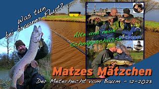 Matze Koch Meterhecht im Baum  Matzes Mätzchen 122023 [upl. by Akemehs]