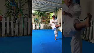 Sansai Kata Karate 2 🥰🥋🥰 Quang Hải Karate 🥋 quanghaikarate karate katakarate [upl. by Nnylatsyrc]