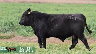 Lot 121 EVT22T715 Peakes Bowen 2024 [upl. by Santoro]