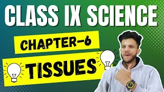 Tissues Class 9 Ch 6 Tissues Most Important QuestionsCh 6 Class 9 Science Tissues [upl. by Rurik477]