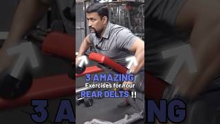 3 Amazing Exercises for Your Rear Delts  shorts [upl. by Naujit]