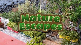 Nature Escapes Game Trailer [upl. by Fleurette934]