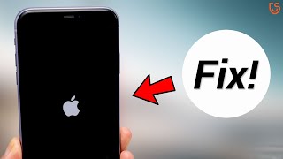 How to Fix iPhone iOS 13 Update Stuck in Boot Loop No Data Loss [upl. by Dranek111]