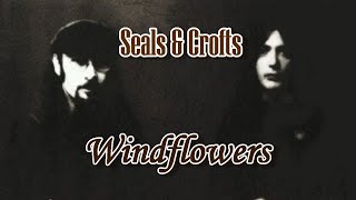 Windflowers  Seals amp Crofts Karaoke [upl. by Paten671]