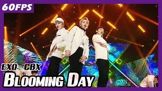 60FPS 1080P  EXOCBX  Blooming Day 엑소첸벡시  花요일 Show Music Core 20180414 [upl. by Alfi205]