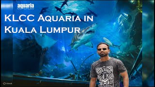 KLCC Aquaria  Kuala Lumpur  Malaysia tour  4k video [upl. by Oizirbaf]