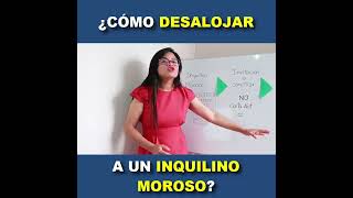 ¿CÓMO DESALOJAR AL INQUILINO MOROSO [upl. by Gun135]