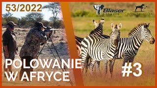 SUDECKA OSTOJA 532022 Polowanie w Afryce 3 Hunting in Africa Hunting in Namibia Blaser Safaris [upl. by Christianna]