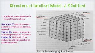 Intelligence amp Ability  Lesson 2  Intelligenceguilford Intelligence [upl. by Annaeerb]