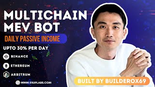 MEV Bots Your Key to Effortless Crypto Profits  The Ultimate Guide to Automated Crypto Gains2024 [upl. by Atteuqihc]