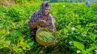 Beautiful Village Food Harvest Red Ripper Peas Cowpea Mix Chicken Curry  Mali Cooking in nature [upl. by Steffin]