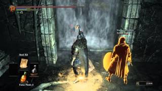 DARK SOULS 3 Consumed Kings Garden Walkthrough FULL PS4 HD [upl. by Dukey]