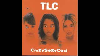 TLC  Diggin On You  1994 [upl. by Stodder]