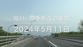 2024年5月11日 旭川市 四季折々の車窓 asahikawa Hokkaido Japan [upl. by Fritts]