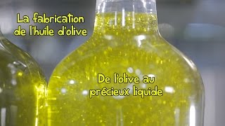 Processus de fabrication de lhuile dolive extra vierge Tramier [upl. by Berga983]