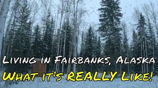 Living in Fairbanks Alaska What its REALLY Like [upl. by Naggem]