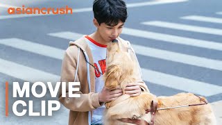 She trained a guide dog to help her blind best friend  Chinese Drama  Adoring [upl. by Ecinnej]