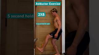 The best adductor exercise for you adductors exercises athomeworkout hipexercise [upl. by Twedy]