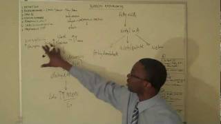 Diabetic ketoacidosis Lecture Part 1DKA [upl. by Deacon830]