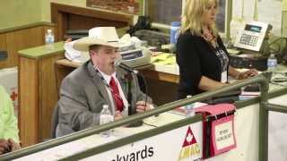 2013 LMAC Auctioneer Championship  Winners [upl. by Aihsel]