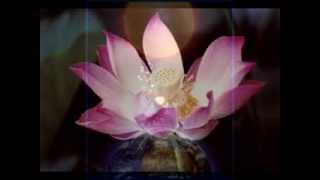 Om AmmaBhagavan  Oneness Meditation Chant  Theo Hirschi [upl. by Nylarak981]