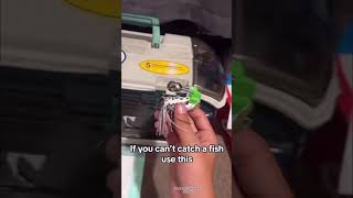 fishtok fishing bass catfish glide bait whopper plopper lures fish blue gill [upl. by Angelina]