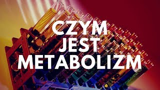 Czym jest metabolizm  46 Podcast Akademii Białego Fartucha [upl. by Hubing]