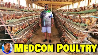 MEDCON POULTRY  Freetown Sierra Leone 🇸🇱 🌍 2022  Explore With TripleA [upl. by Airotnes874]