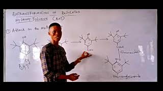 Biotransformation of Butylated Hydroxy Toluene  Well Explained [upl. by Apfel403]