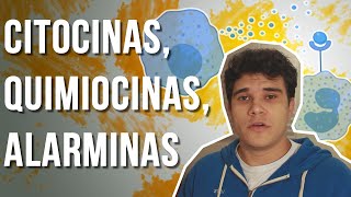 Citocinas Quimiocinas e Alarminas  Definições e diferenças  ImunOak [upl. by Ahsimin]