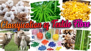 Classification Of Textile Fibers  Sources Of Textile Fibre [upl. by Phillipp428]