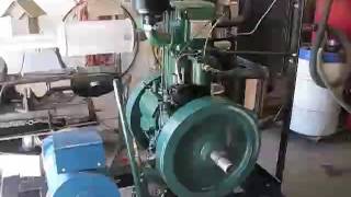 Start up of 10HP listeroid diesel engine Lister clone [upl. by Joly559]