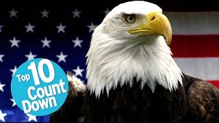 Top 10 Greatest Symbols of America [upl. by Leno316]