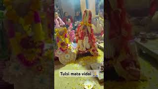 Tulsi vivah jaitulsiMaa short trendingvideo [upl. by Leavelle]