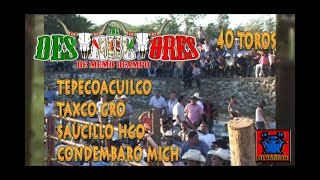 40 TOROS DESTRUCTORES EN TEPECOACUILCO Y TAXCO GUERRERO EL SAUCILLO HIDALGO Y CONDEMBARO MICH [upl. by Lais]