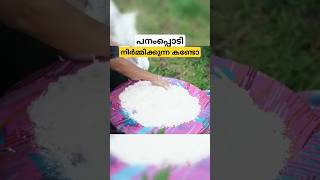 പനംപ്പൊടി നിർമ്മിക്കുന്നത് കണ്ടോ palm tree flour malayalam shorts [upl. by Mcfadden]