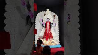 Kali puja pandal maynaguri jalpaiguri 🚩🙏 [upl. by Zeiger]