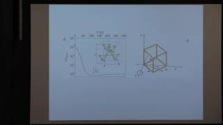 Prof Phuan Ong quotMagnetization in the AIAO State of Pyrochlore Iridatequot Lecture 202 of 2 [upl. by Tteltrab792]