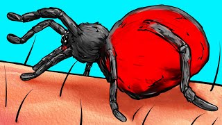 ¿Qué le pasa a tu cuerpo cuando te pica una araña [upl. by Xever689]