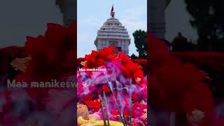 bhawanipatna kalahandi temple jai maa manikeswari [upl. by Althea]