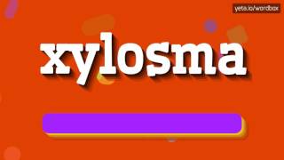 XYLOSMA  HOW TO PRONOUNCE IT [upl. by Buchanan]